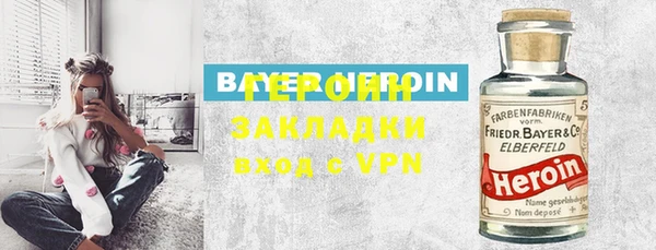 прущие грибы Переславль-Залесский