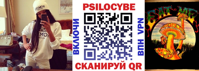 цена наркотик  Жердевка  Псилоцибиновые грибы GOLDEN TEACHER 